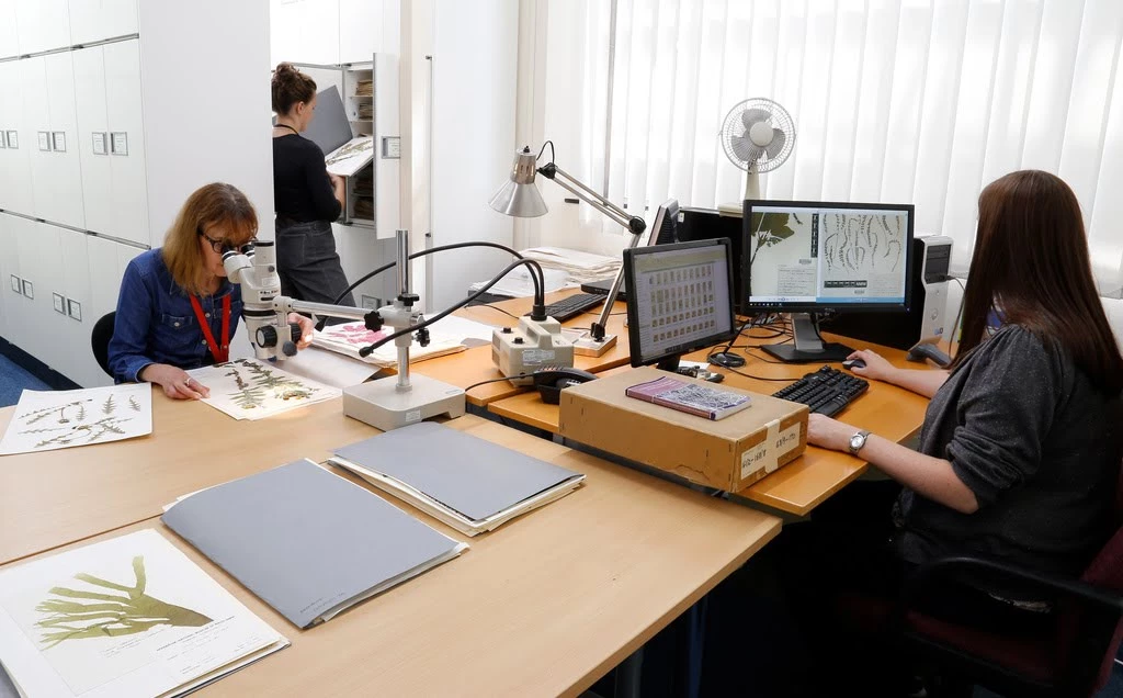 Welsh National Herbarium at National Museum Wales