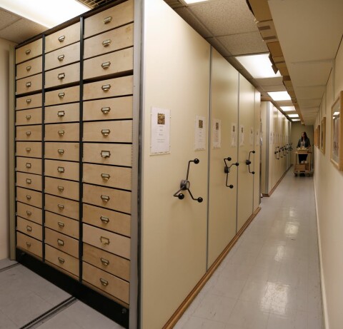 Bryophyte herbarium storage at the Welsh National Herbarium, part of National Museum Wales