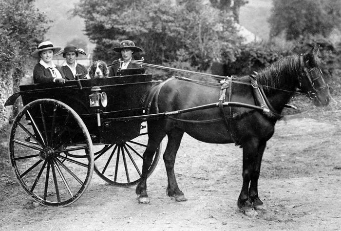 Three local women photographed in a pony and trap, 1916.