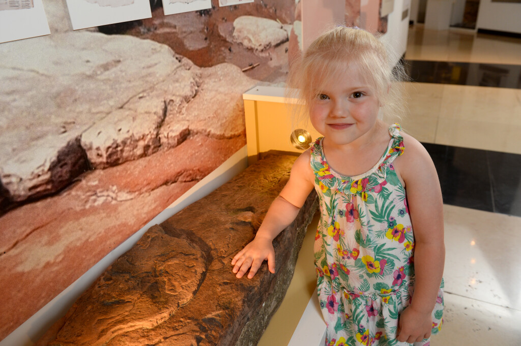 Dinosaur footprint, which sheds new light on how dinosaurs used to walk goes on display at National Museum Cardiff | Museum Wales