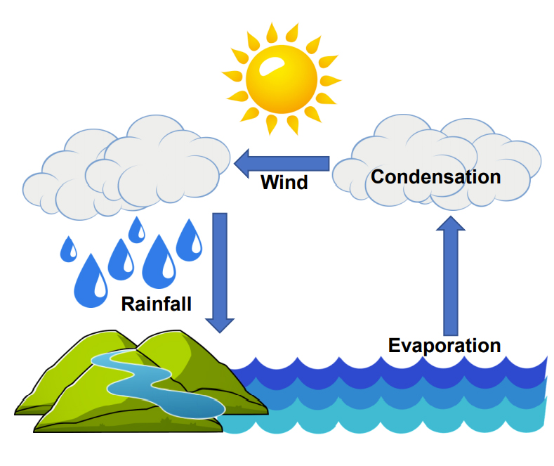 Draw a neat labelled diagram of ' water cycle ' and write in brief about  the water cycle​ - Brainly.in