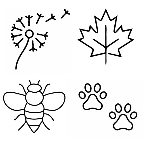 Line diagrams of a dandelion, a leaf a bee and two paw prints