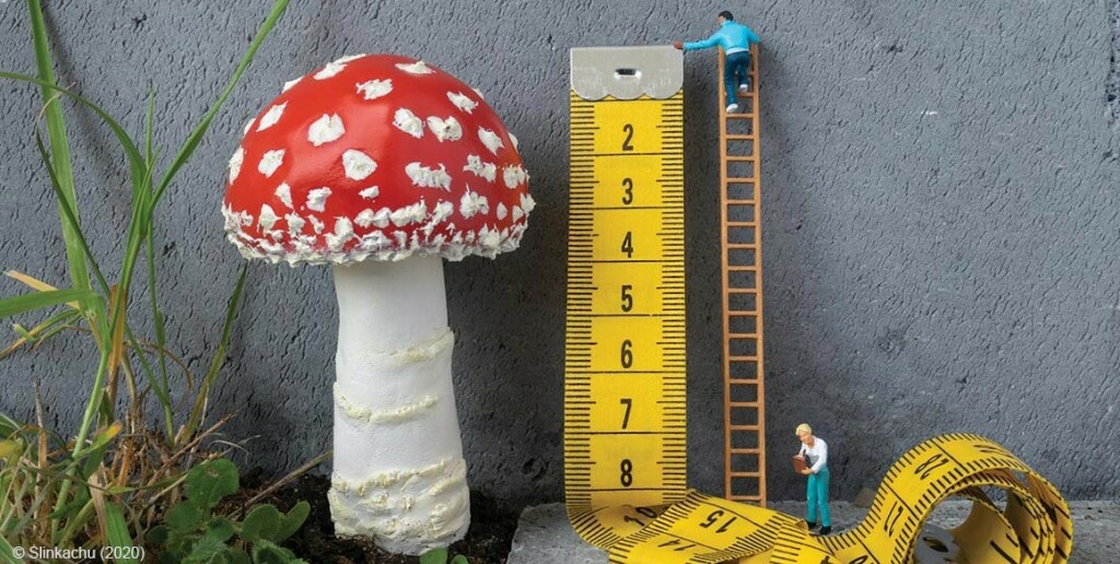 Photo of two tiny plastic people using a measuring tape to measure a fly agaric mushroom