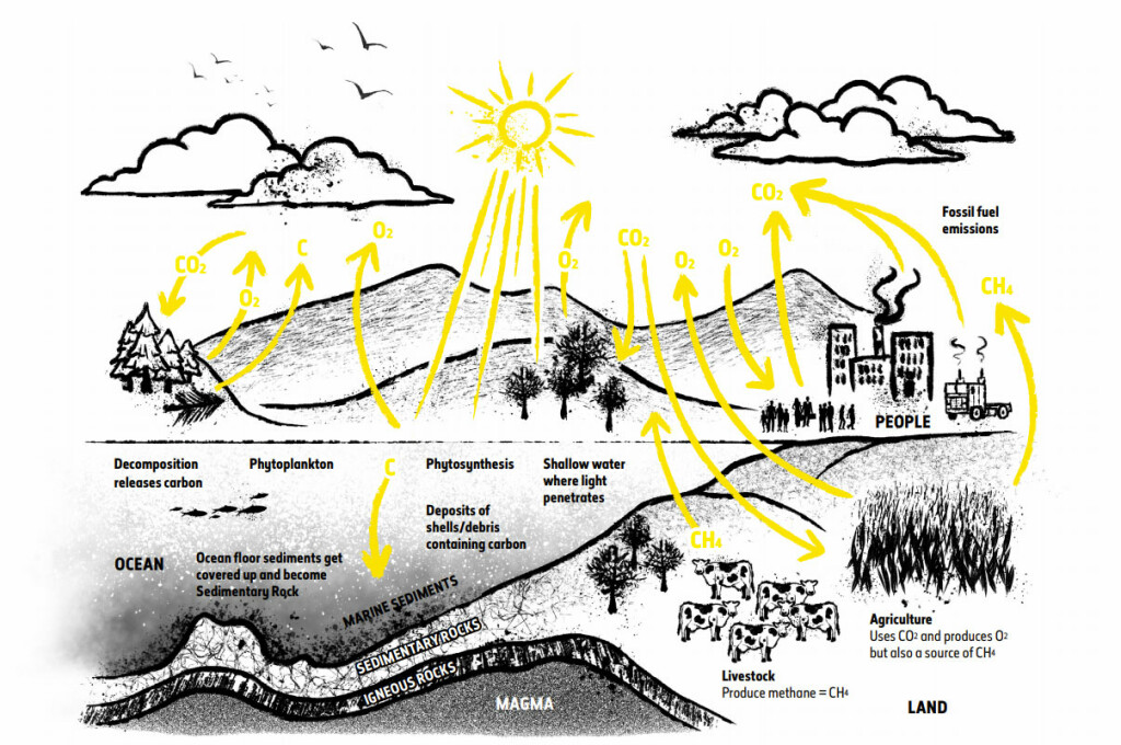 Illustration of the carbon cycle showing clouds, mountains, tress and buildings