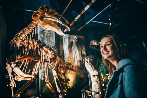 A young woman looking at the dinosaur collection