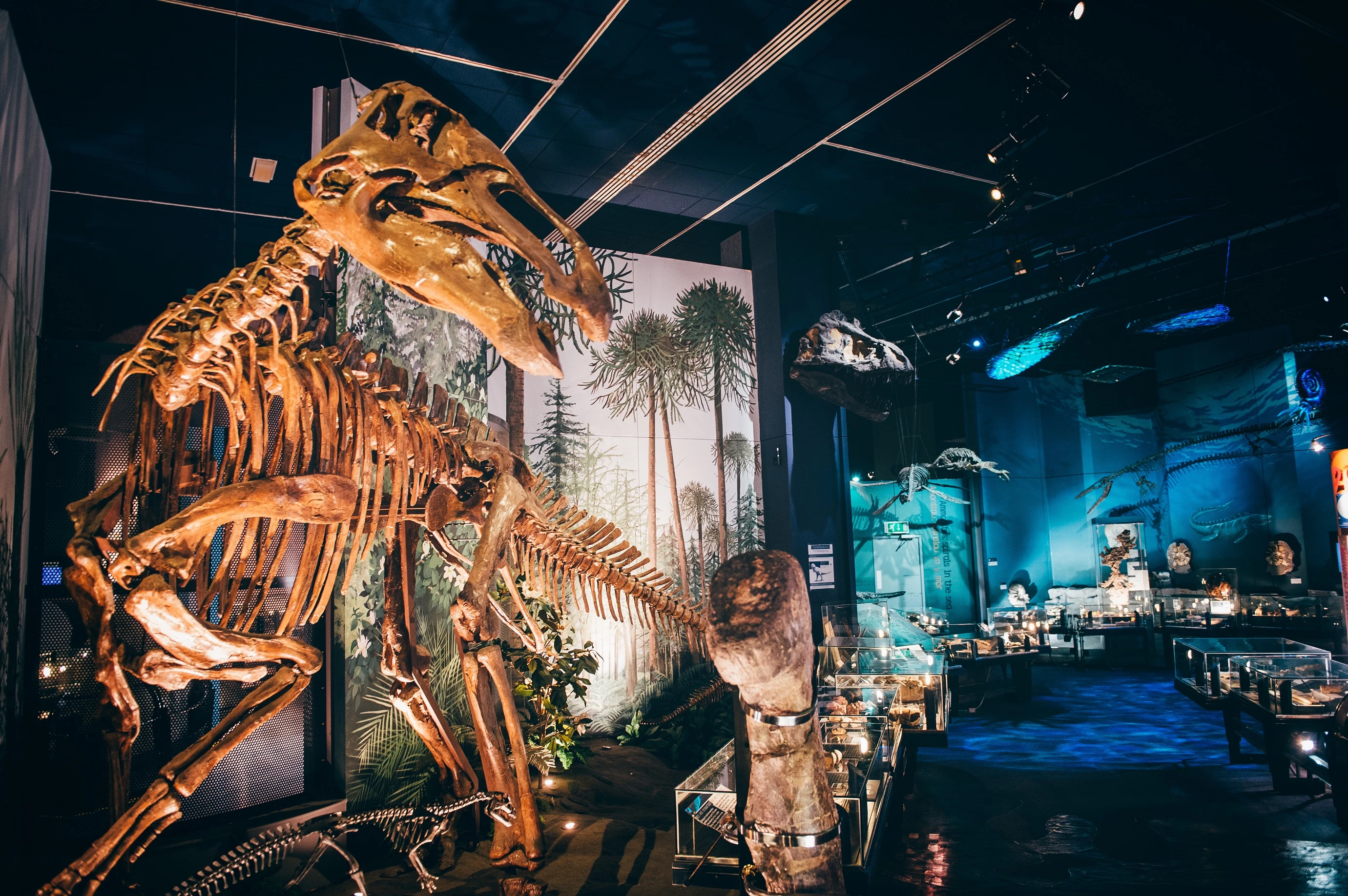 Image of the Evolution of Wales gallery