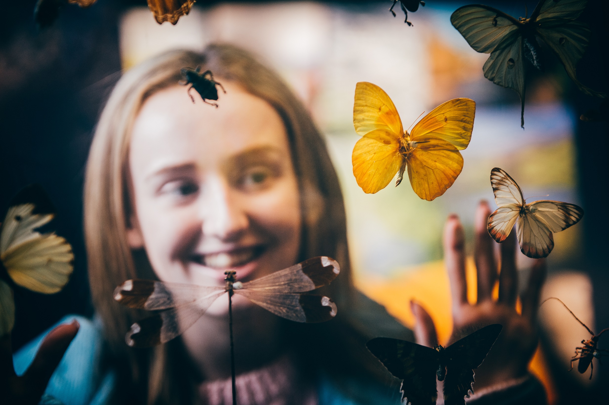 A young woman admires a display of butterflies