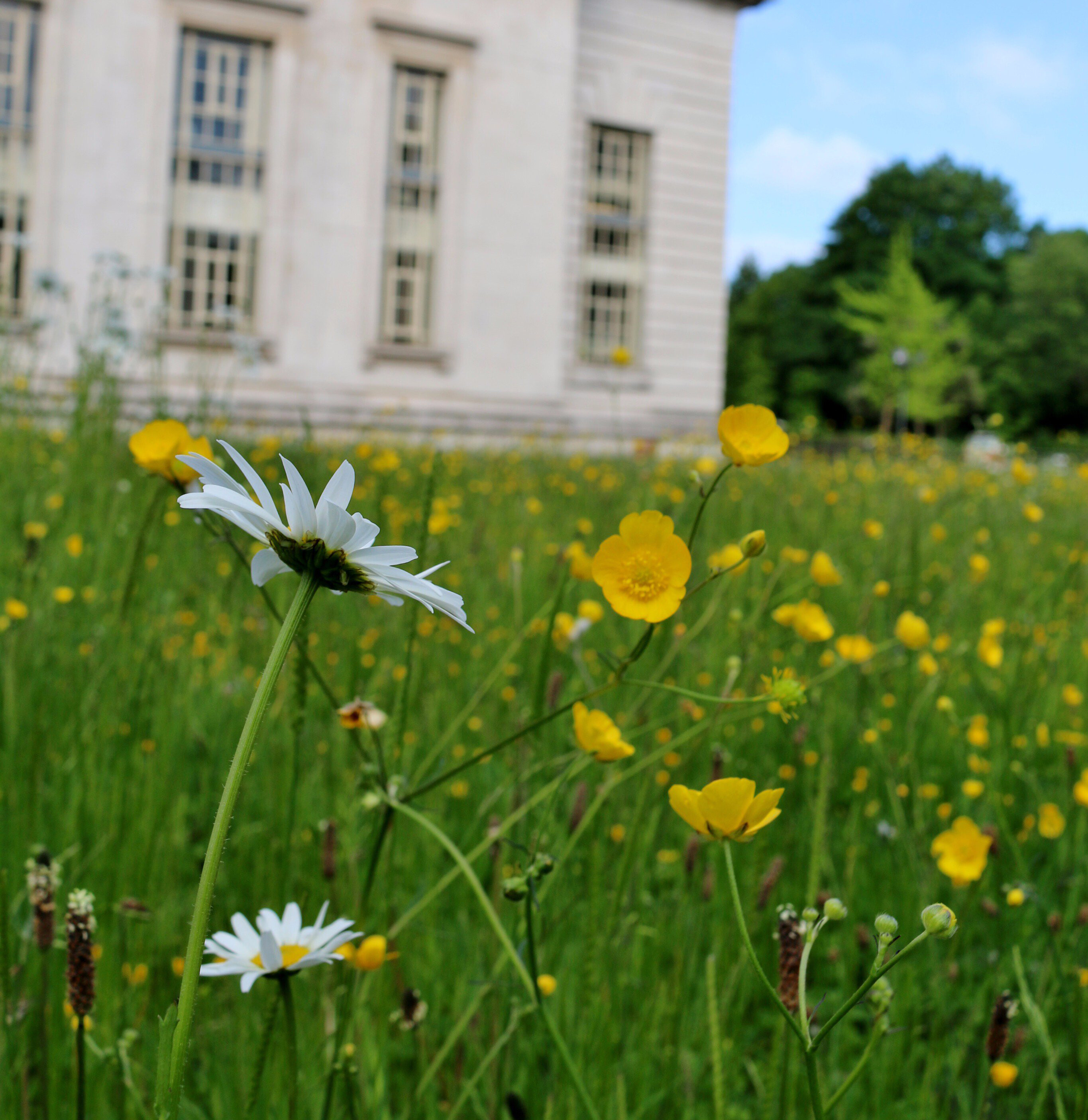 Explore Urban Habitats National Museum Wales