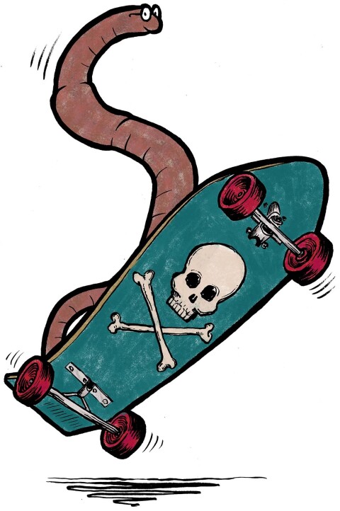 illustration worm on skateboard