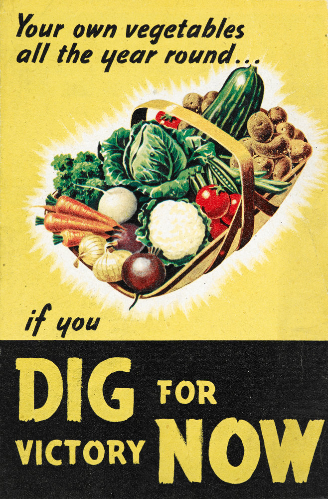 dig for victory poster