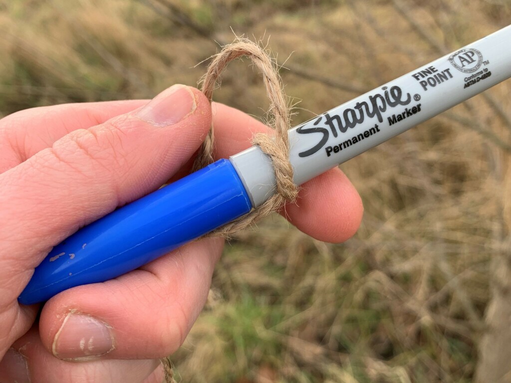 Hand holding a sharpie pen