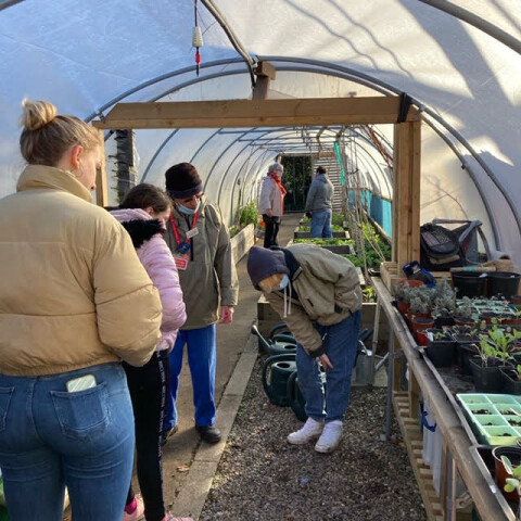 Photograph of a group of people in a polytunnel looking at plants