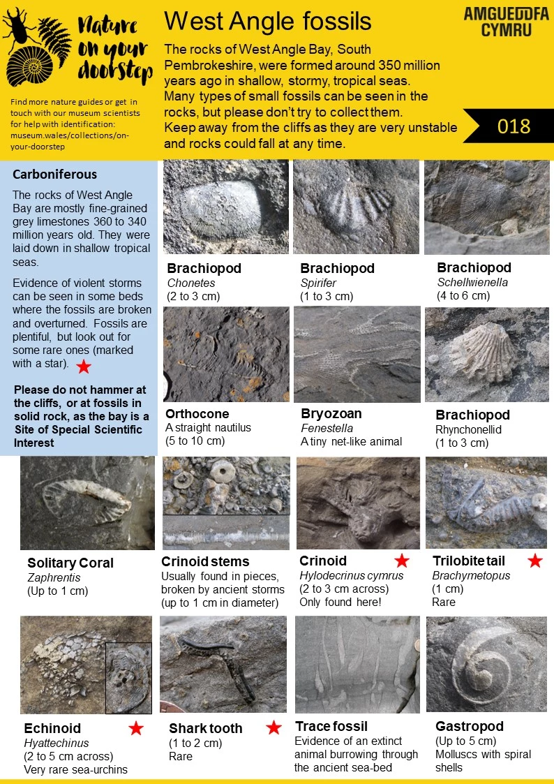 Spotter's Sheet