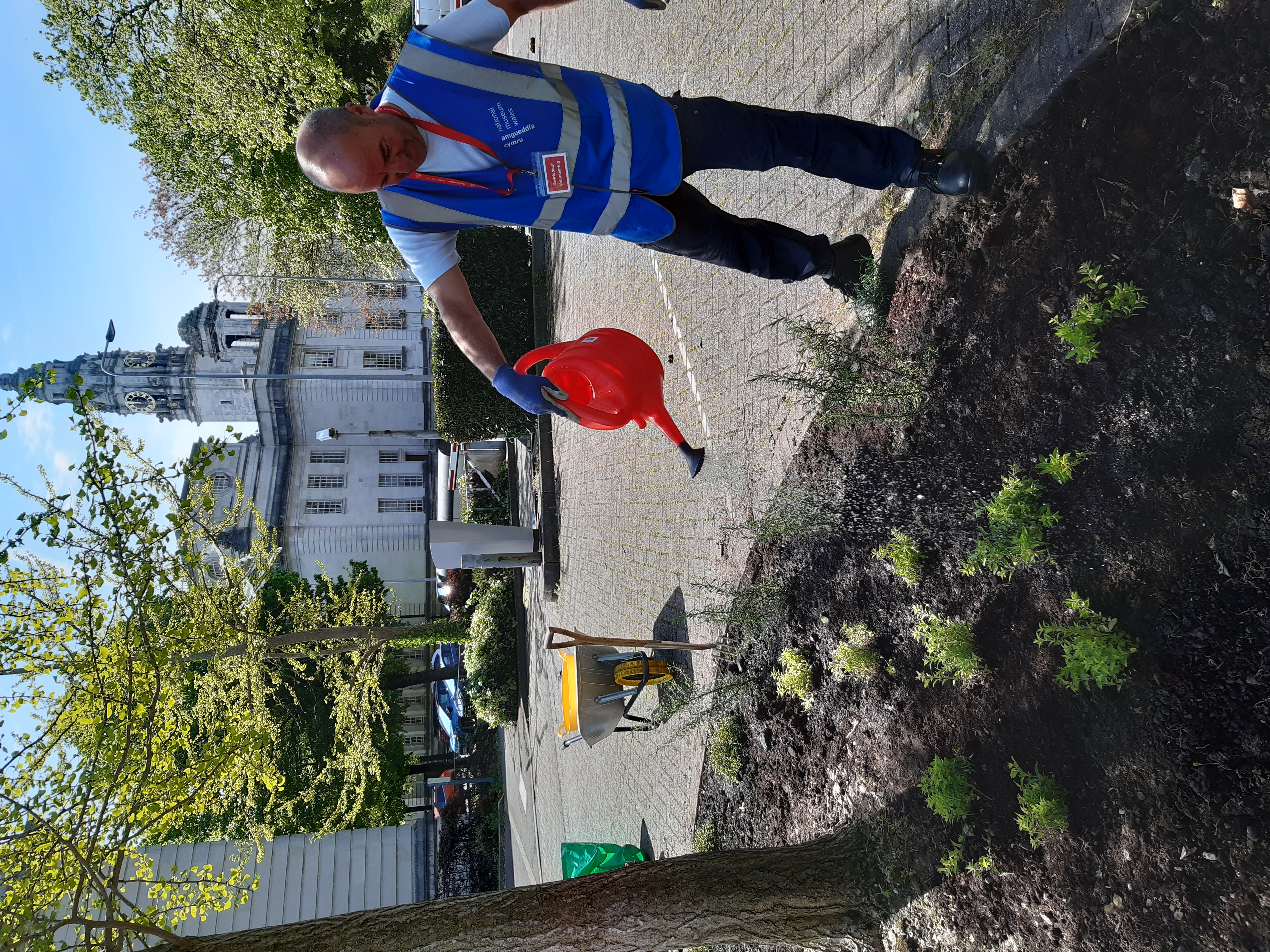 Volunteer watering the newly planted bed with City Hall in the background