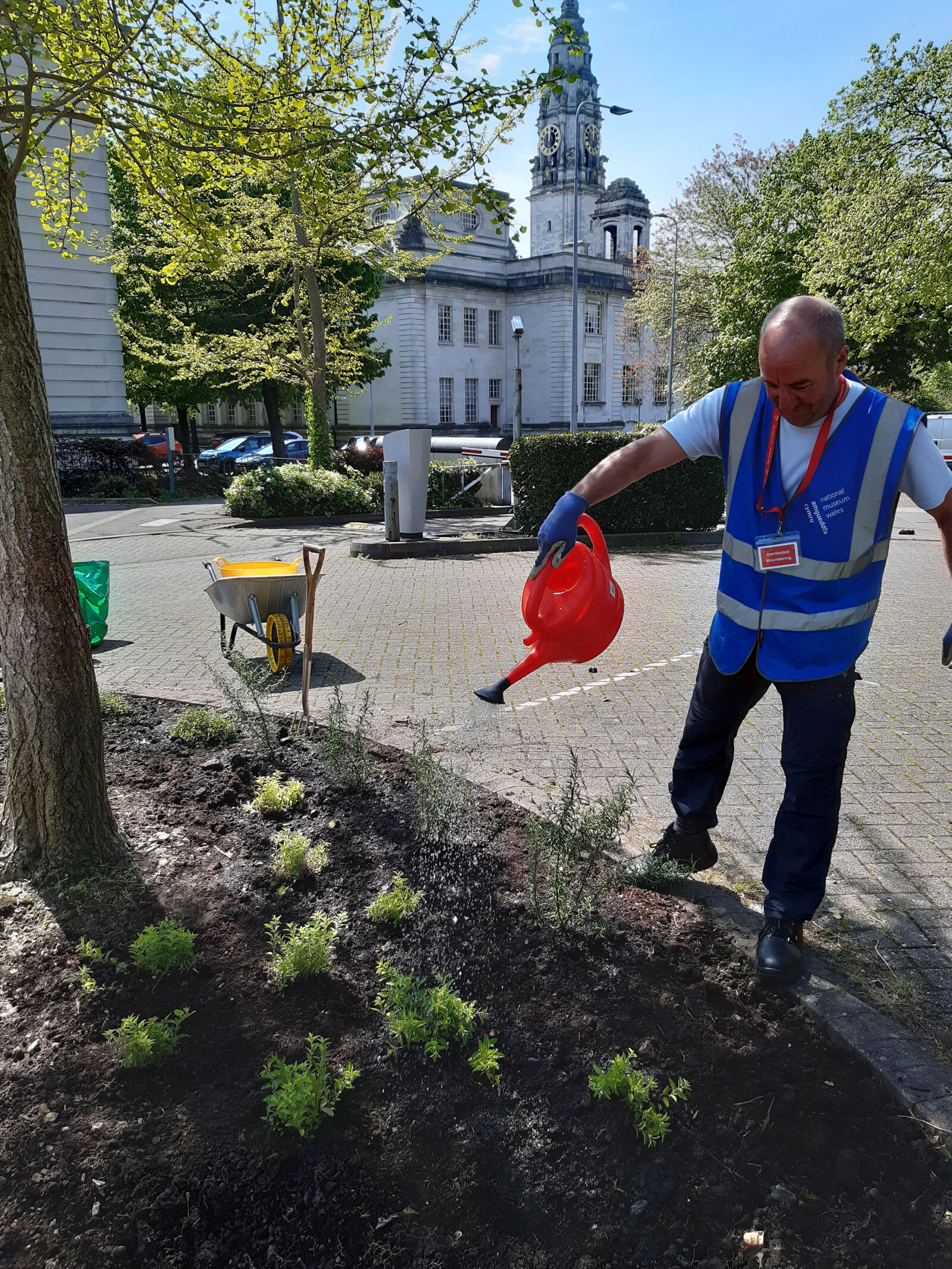 Volunteer watering the newly planted bed with City Hall in the background