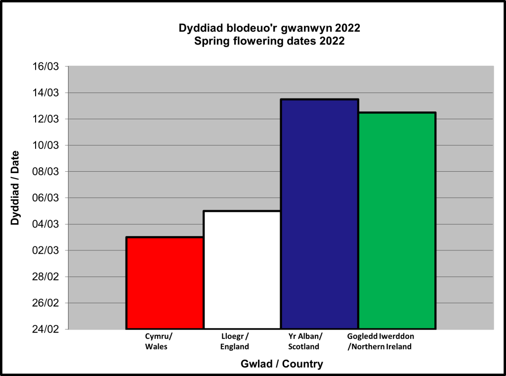 Graph which shows the flowering dates for Wales, England, Scotland and Northern Ireland. Wales flowers flowered earliest with Scotland and Northern Ireland much later