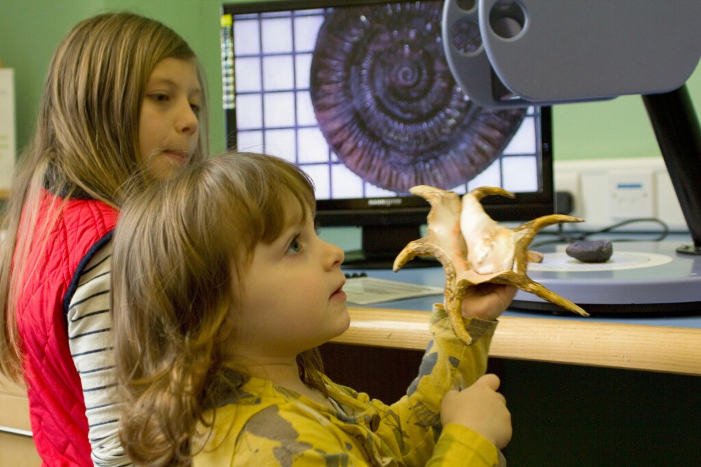 A girl holds a shell in front of a monitor.