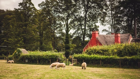 St Fagans field