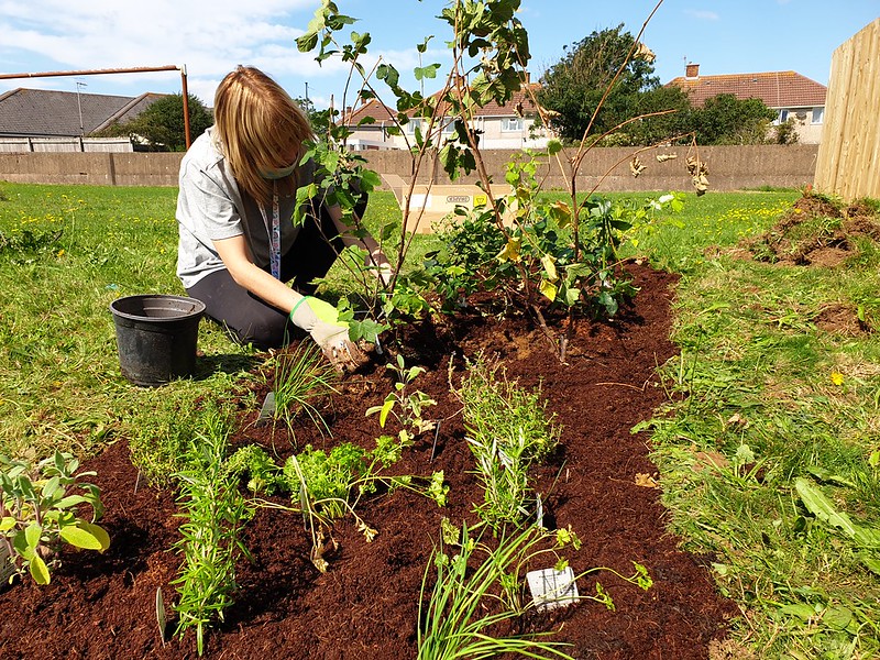 A lady planting into a patch of soil 