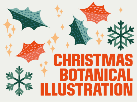 Christmas Botanical Illustration