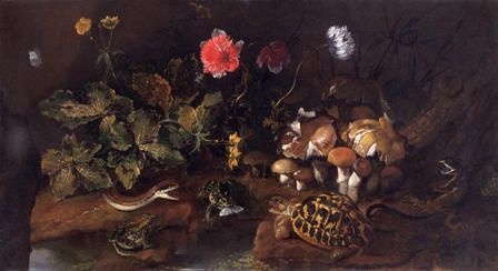 Still Life with a Snake, Frogs, Tortoise and Lizard