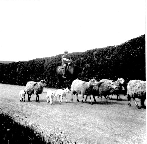 Shepherd on horseback carrying a lamb