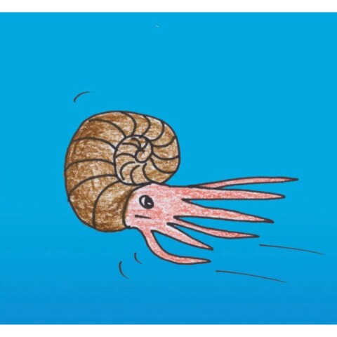 Cartoon illustration of an ammonite