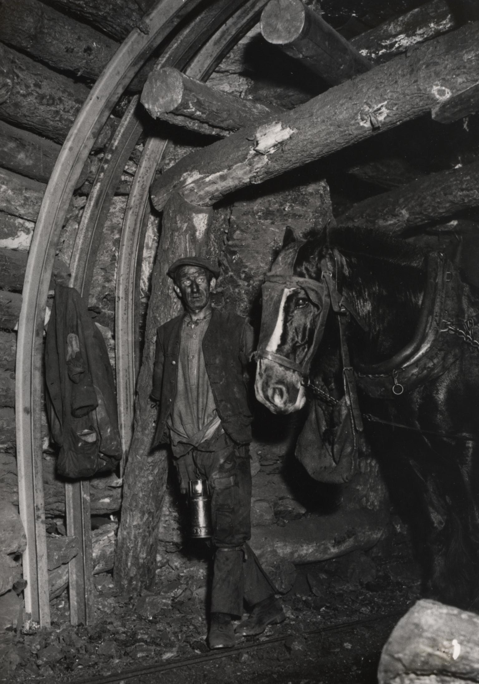 A miner stands by wooden beams in a coal mine; he stands next to a Welsh Colliery Horse