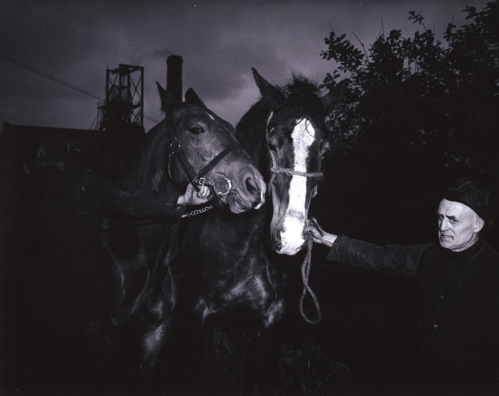 Two men hold the reins of two hourses. It’s night-time but the big pit wheel can be seen in the background; the man has a serious look on his face