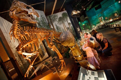  A family looking at a dinosaur skeleton in a gallery.