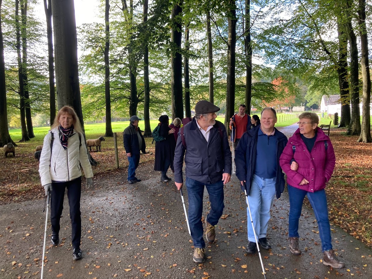 A group of people, some with white canes, on an audio described tour, walking outside at St Fagans National Museum of History, along a tree lined tarmac path. 