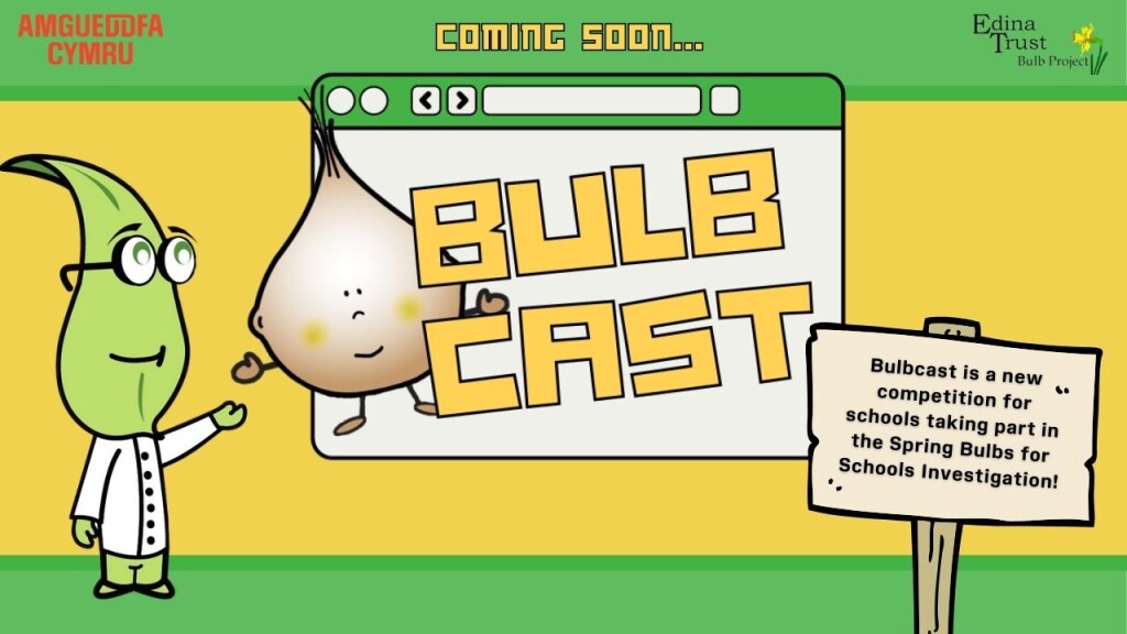 Coming Soon Bulbcast 2024   Bulbcast 