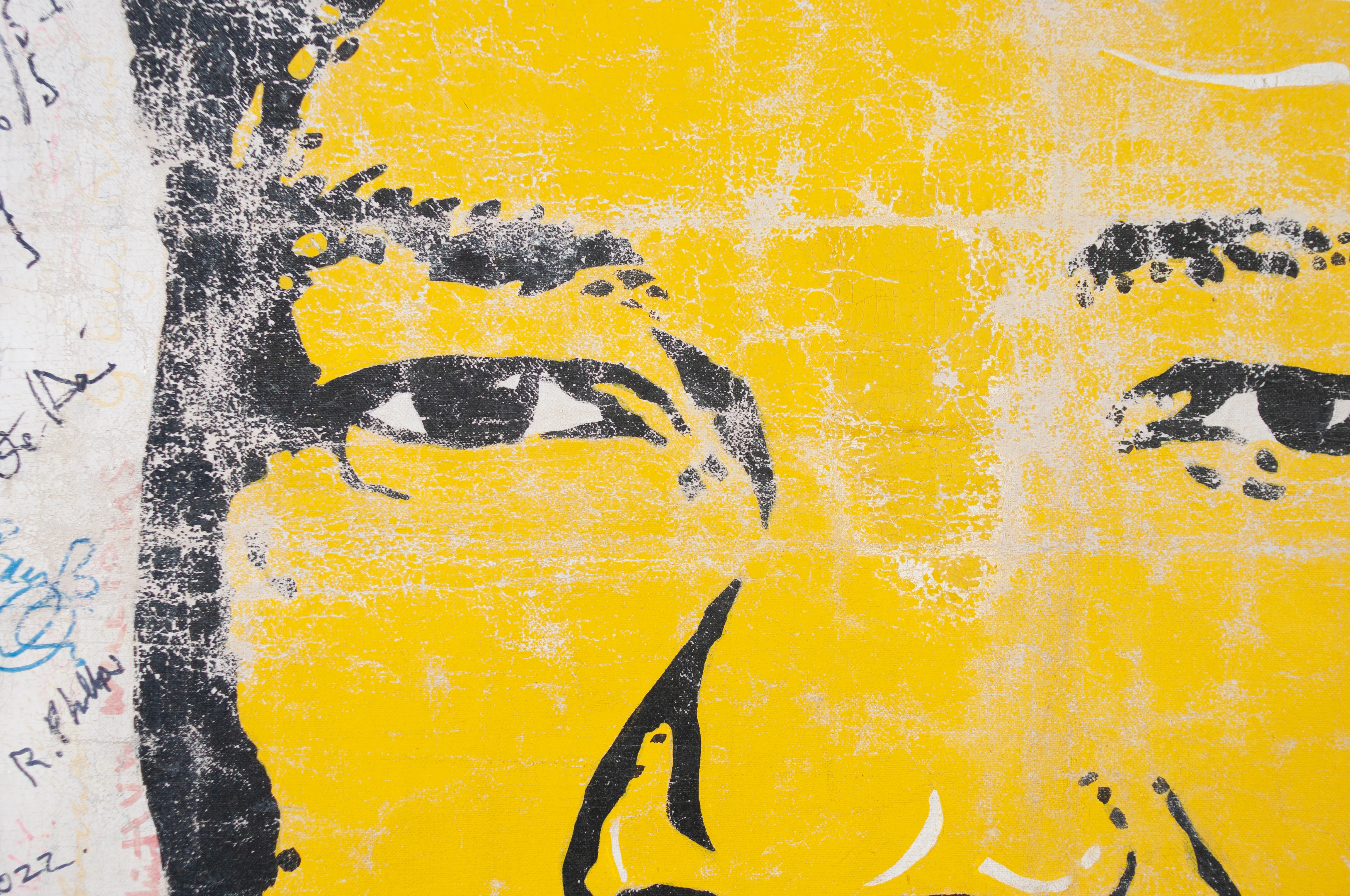 Detail showing extent of paint loss and flaking  