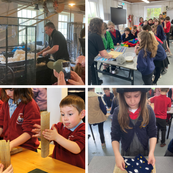 A school trip to National Wool Museum