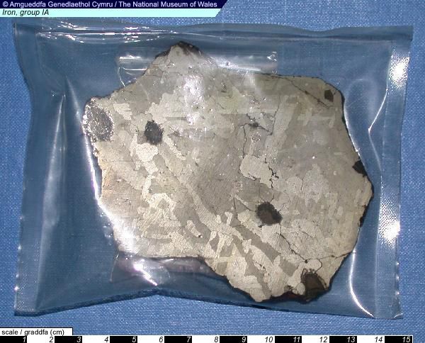 Meteorite: Iron Group IA