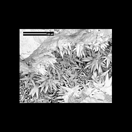 mattheddleite crystals