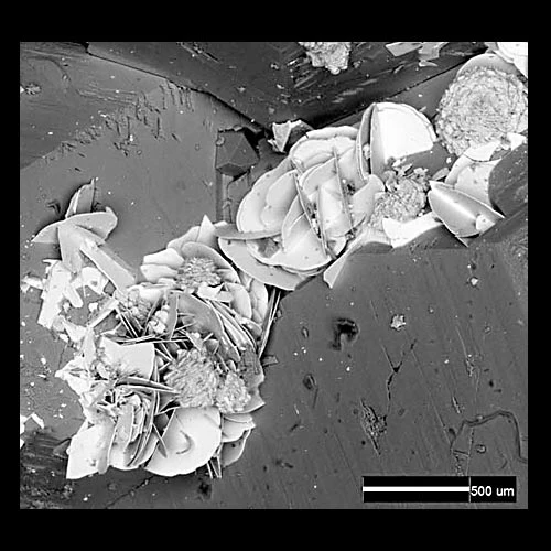 platy synchysite-(Ce) crystals
