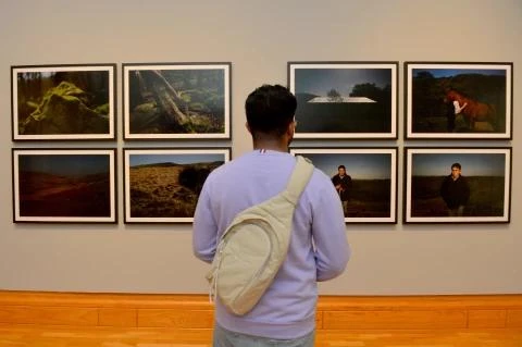 A young man looking as a display of photographs in a museum