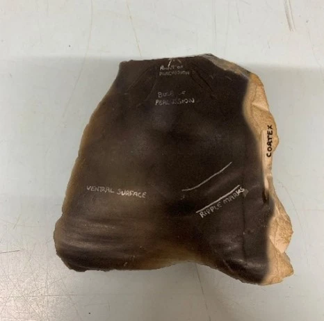 A prehistoric stone tool with markings