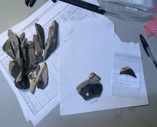 A collection of prehistoric stone tools