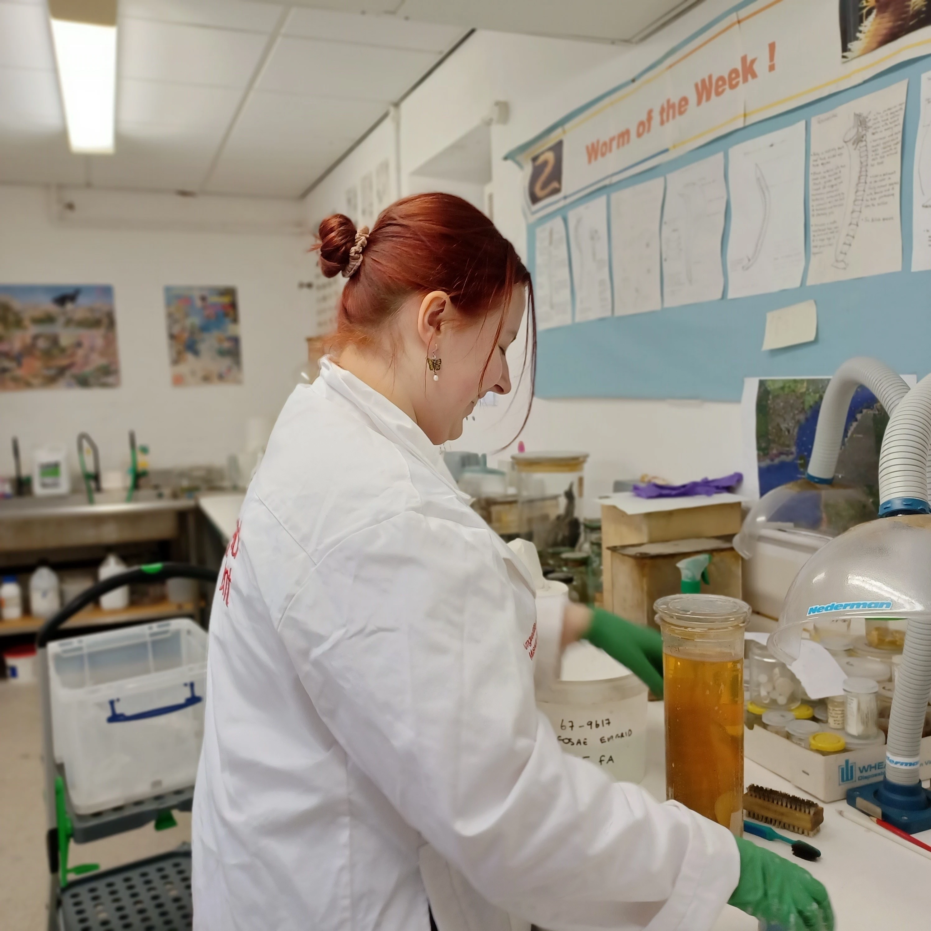 Volunteer in the fluid store