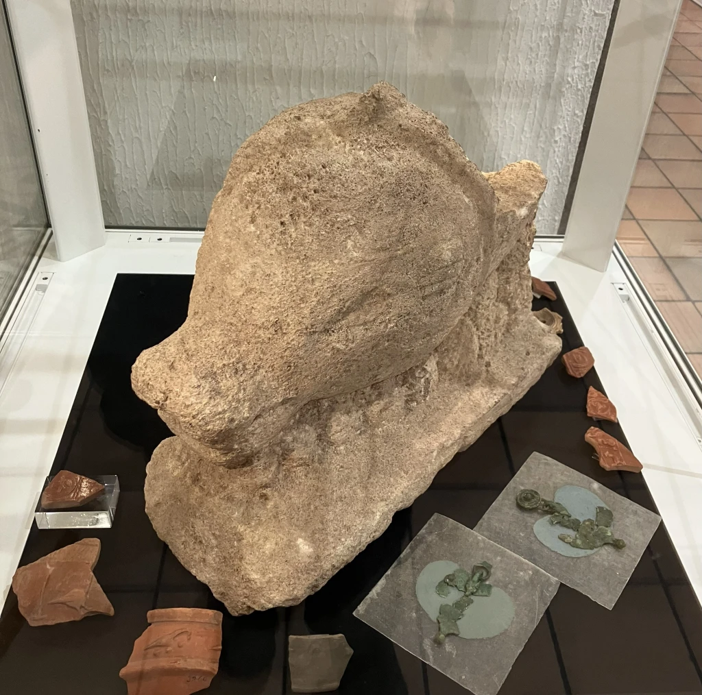 Exhibition : Animals of the Gods