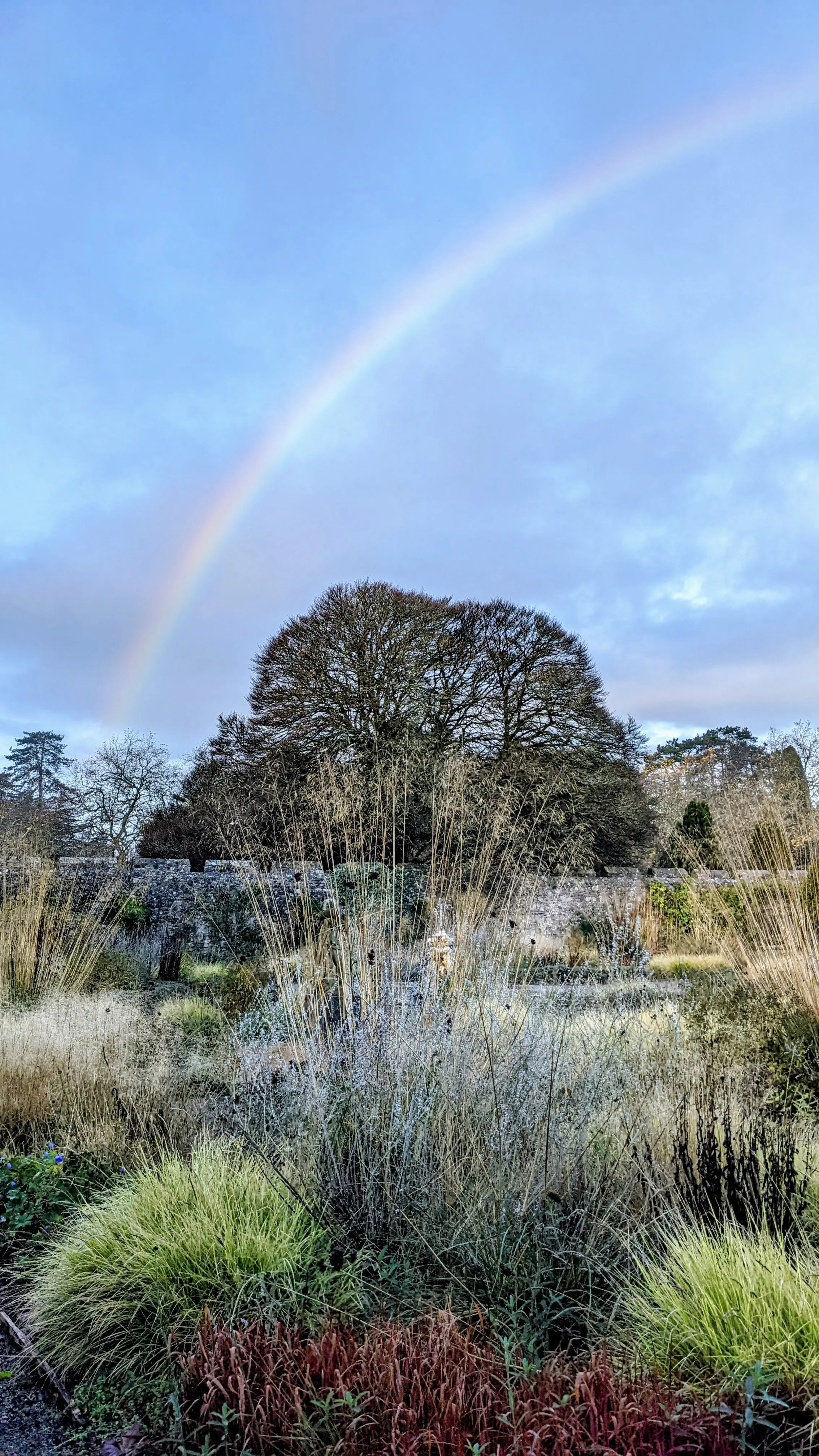 Rainbow over the parterre garden