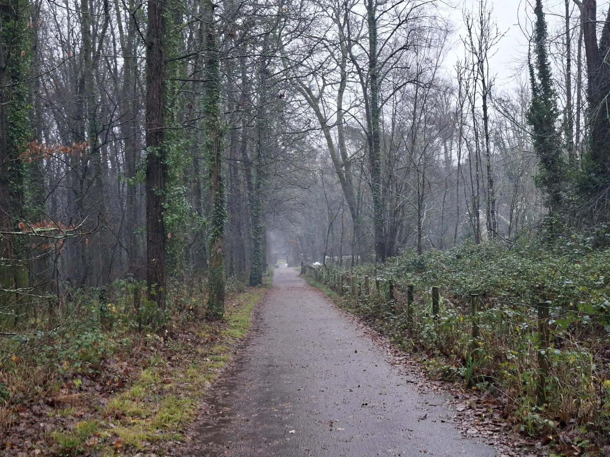 Rainy Day At St Fagans in December