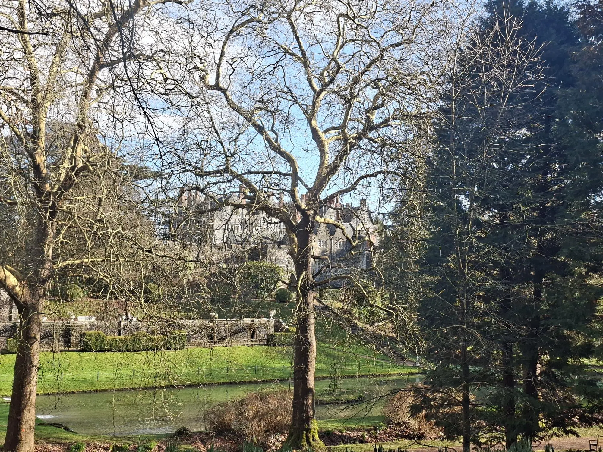 Sunny Day Feb 2026 St Fagans
