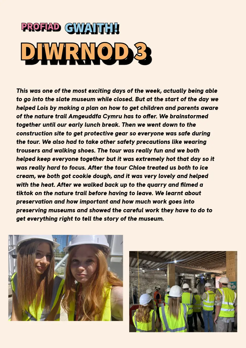 Text describing what the work experience students did on their third day. 