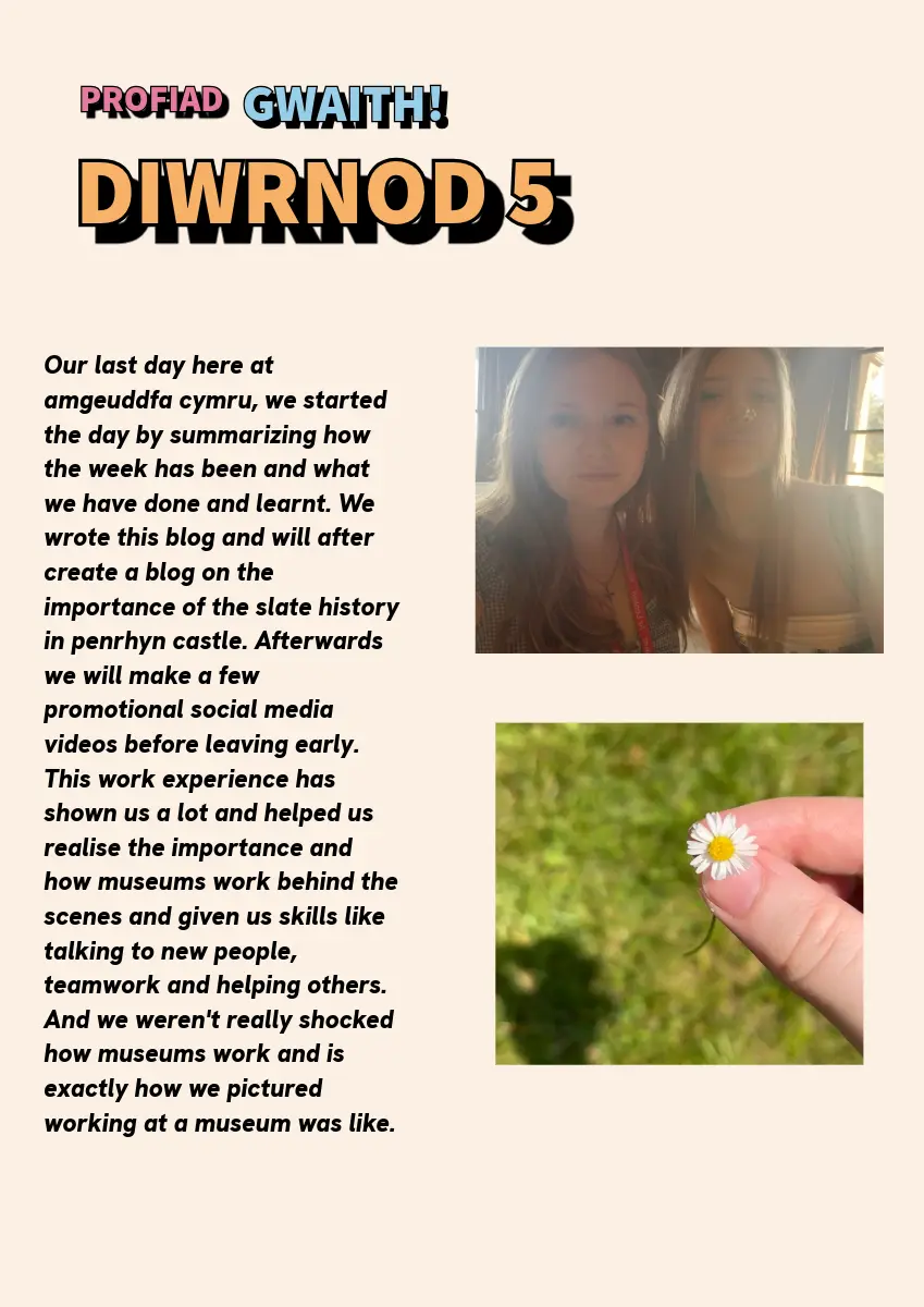 Text describing what work experience students did on their fifth day. 