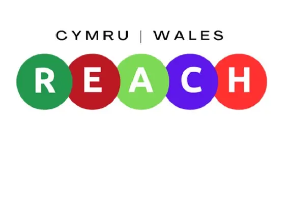 REACH Logo