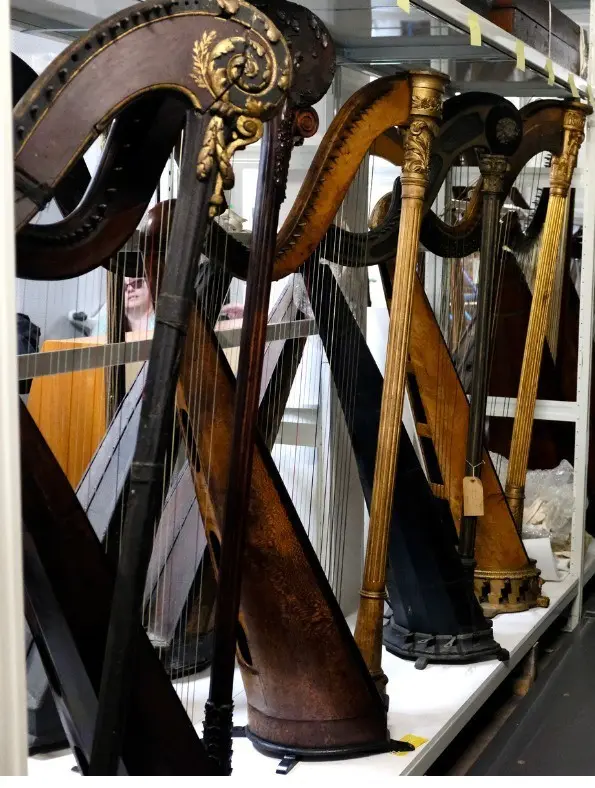 Community Curator - J