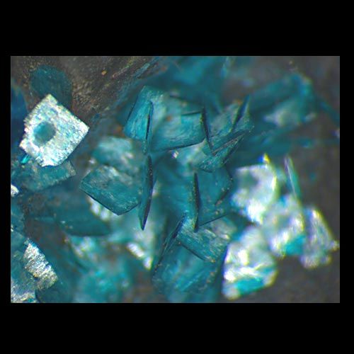 Tabular botallackite crystals